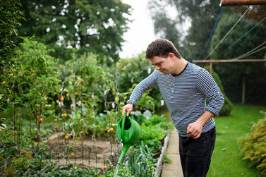 Ein Jugendlicher gießt Tomaten.