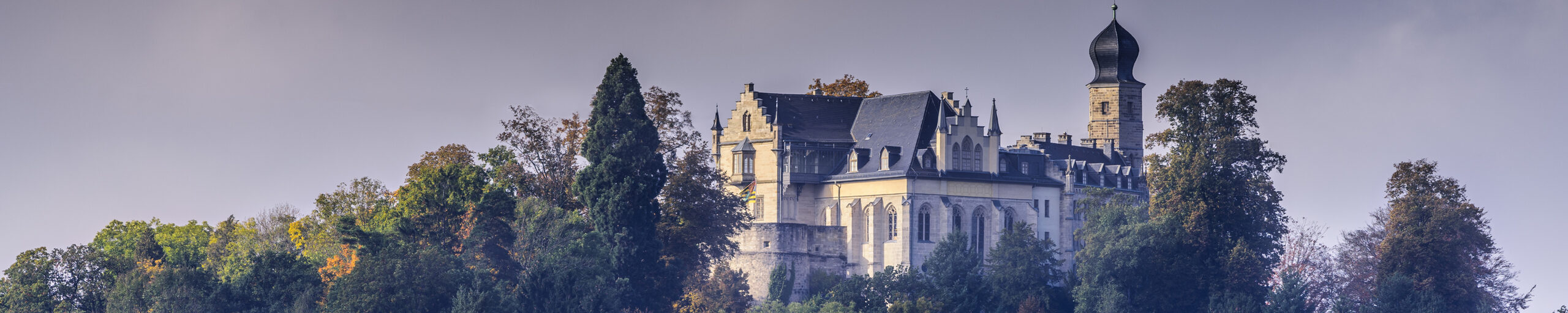 Blick auf Schloss Callenberg