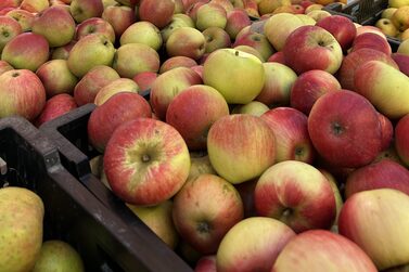 Marktstand mit Obst und Gemüse.