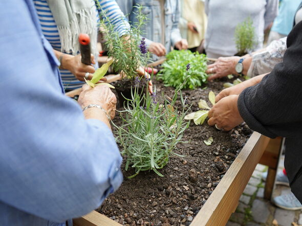 eine Gruppe bepflanzt das Hochbeet am Mehrgenerationenhaus in Coburg