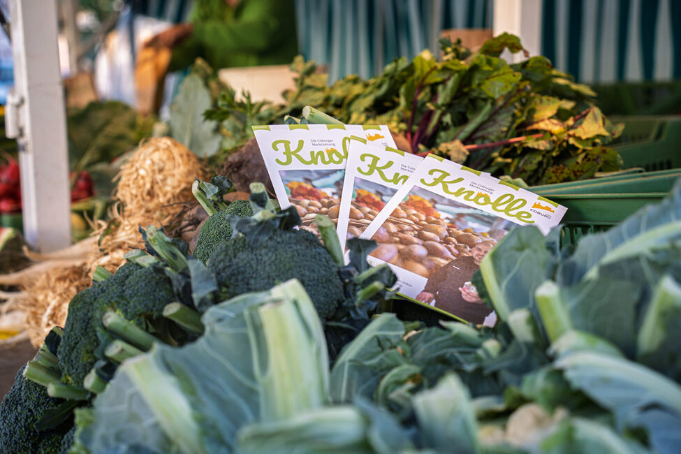 Sommerausgabe der Knolle 2025