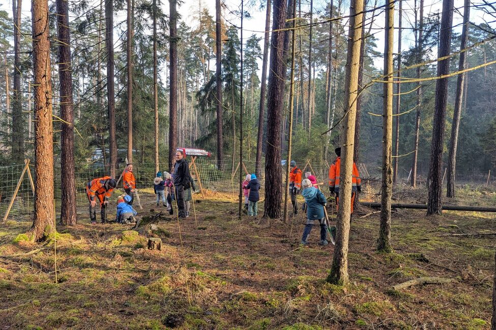 Die Umwelt-AG der Grundschule am Heimatring unter der Leitung von Frau Engelhardt hat mit großem Engagement etwa 180 Bäume gesetzt.