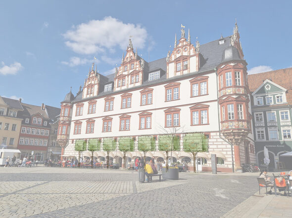 Vor dem Stadthaus sollen Platanen gepflanzt werden. Das Bild dienst ausschließlich der Illustration.