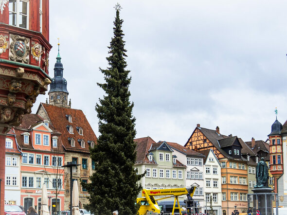 Der Weihnachtsbaum auf dem Coburger Marktplatz