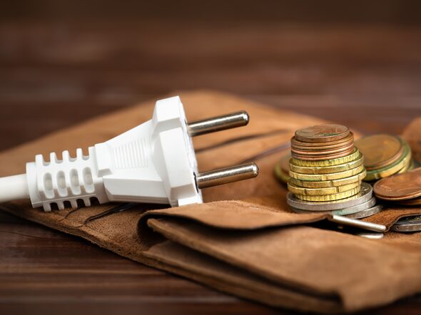 Electrical,Plug,With,A,Wallet,And,Euro,Money,Coins.,Saving