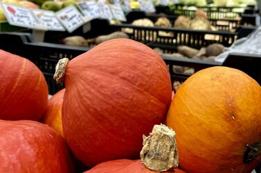 Beim Kürbismarkt auf dem Coburger Marktplatz dreht sich alles um das Herbstgemüse.