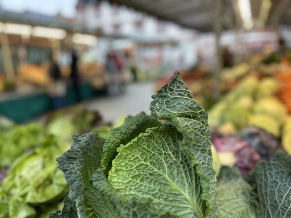 Auf dem Wochenmarkt gibt es eine große Auswahl an regionalen Produkten.