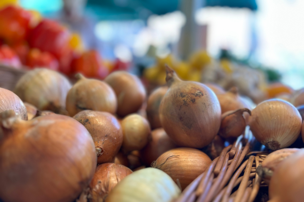 Ziebeln in einer Auslage an einem Marktstand