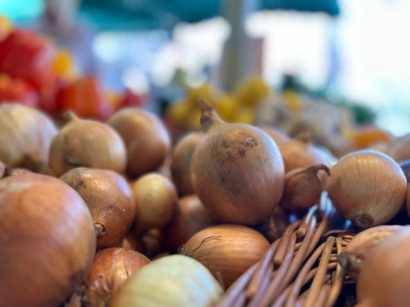 Ziebeln in einer Auslage an einem Marktstand