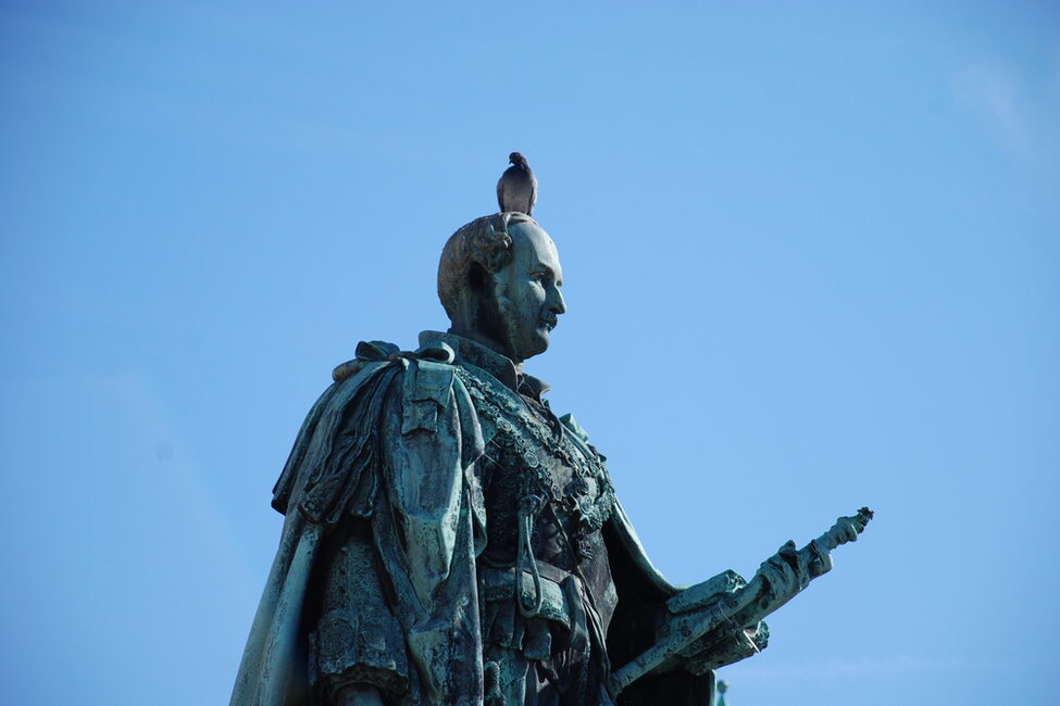 Taube sitzt auf dem Kopf des Prinz-Albert-Denkmals auf dem Coburger Marktplatz
