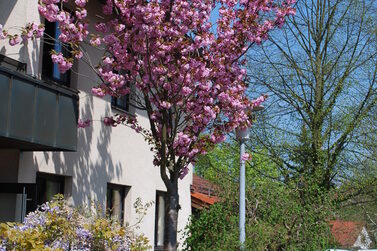 Eingang des Grünflächenamtes