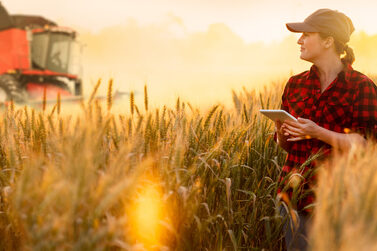 Ein Mähdrescher und eine Frau mit Tablet stehen in einem goldenen Feld