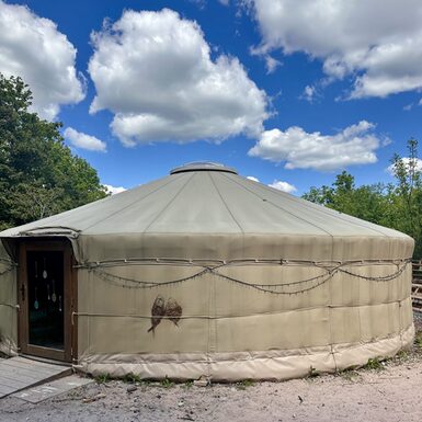 Dies ist unsere Jurte. Sie dient den Kindern als Mehrzweckraum. Die thematische Gestaltung und Funktion ändert sich regelmäßig. Aktuell nutzen wir die Jurte als Atelier oder Bewegungsraum.