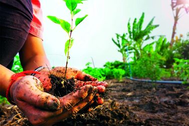 Pastas,In,Sustainable,Plastic,Free,Grocery,Store.,Dispensers,Of,Pastas