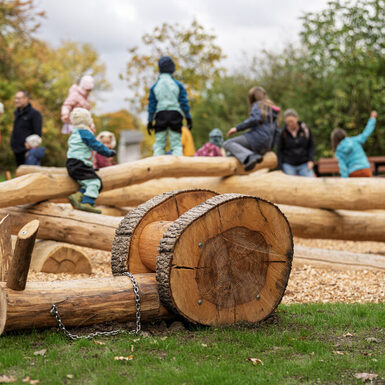 Naturspielplatz Scheuerfeld: Schnecke