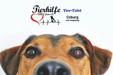 Tierhilfe nah & fern e.V.