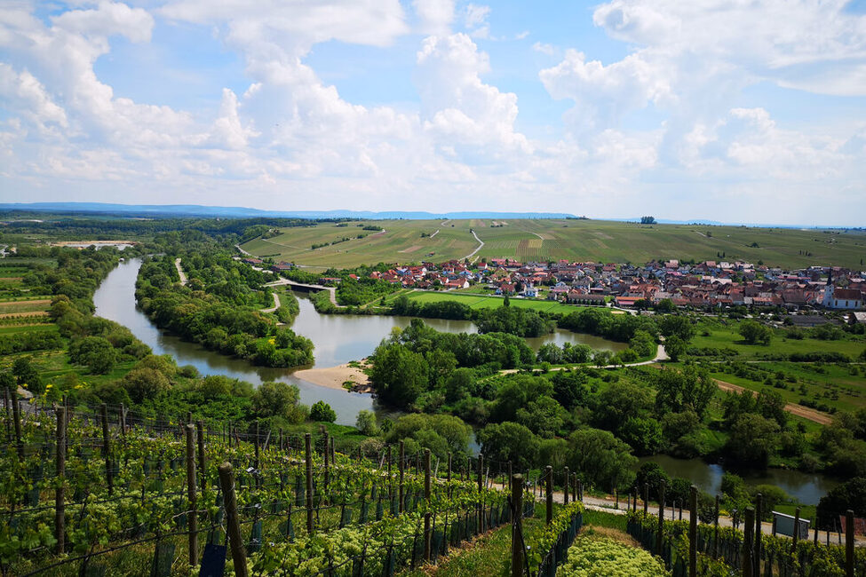 Mainschleife bei Volkach am Main