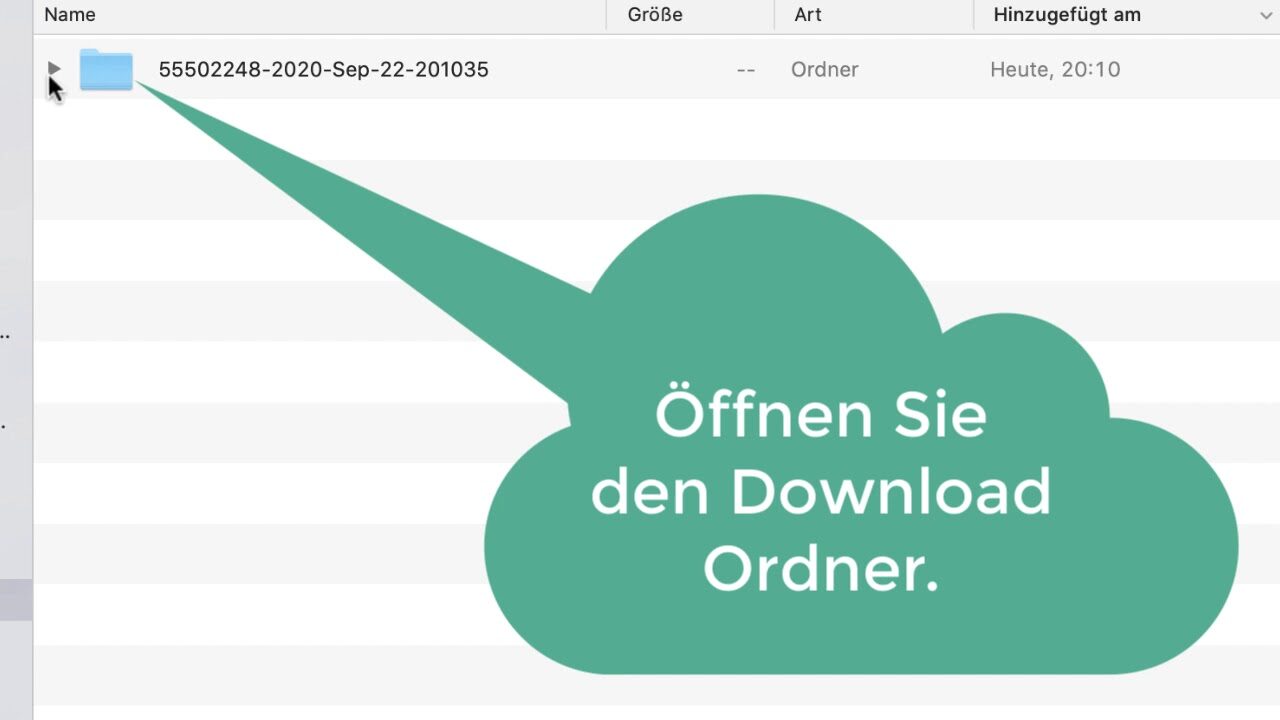 Wie lade ich Online Medien herunter?