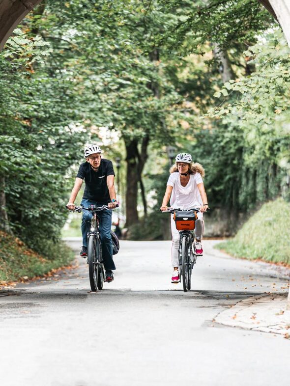 Mit dem Fahrrad durch die Allee