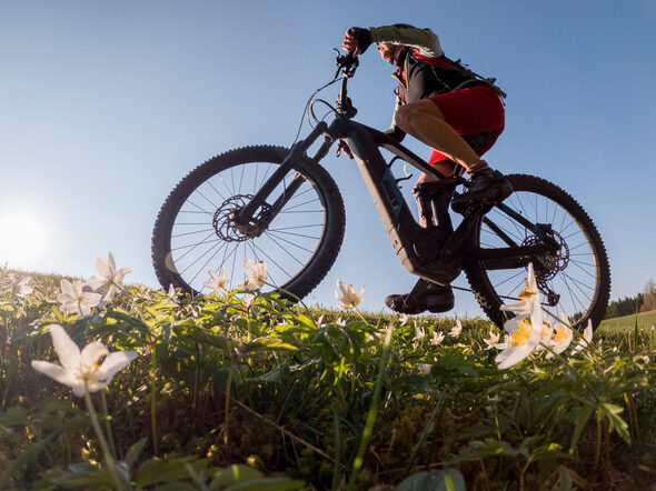 Pretty,Senior,Woman,Riding,Her,Electric,Mountain,Bike,In,Early