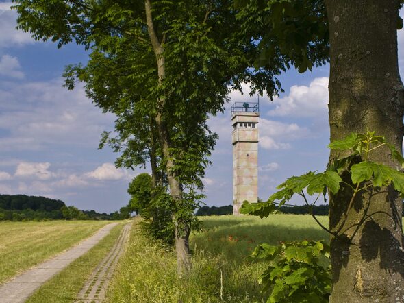 Foto Grenzturm, Iron Curtain Trail, Europa, Deutschland, Thueringen, Eichsfeld, bei Katharinenberg, ehemalige innerdeutsche Grenze, deutsch deutsche Grenze, Grenze, Grenzturm, Turm, Wachturm, Grenzwachturm, Fuehrungsturm, Grenzsteifen, Todesstreifen, verbluetes Rapsfeld, Grenzwanderweg, Grenzradwanderweg, Wandern, Grenzstreifen, Kontrollweg, Plattenweg.