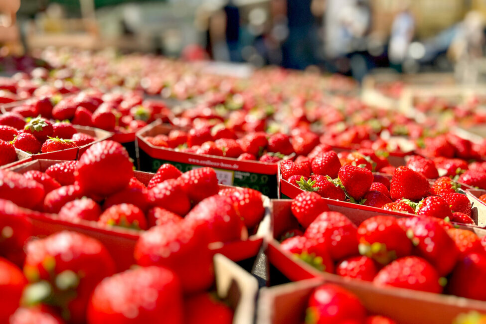 Erdbeermarkt