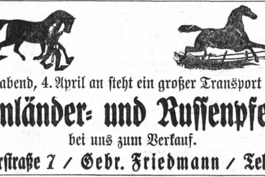 Werbung der Pferdehandlung Gebr. Friedmann